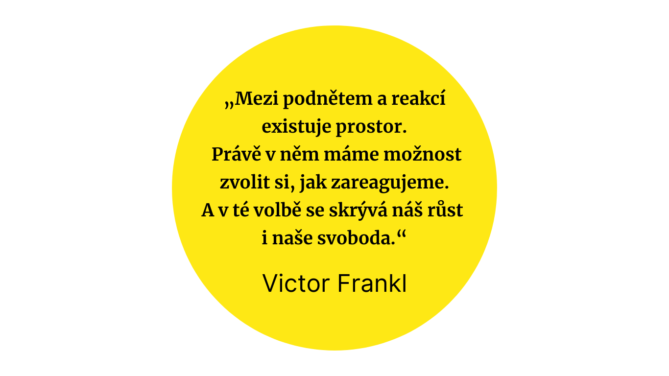 definice mindfulness victor frankl